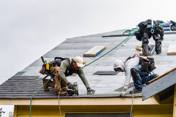 Professional Gutter Installation technician working in Winnebago, MN